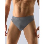 Gina slipy s úzkým bokem úzký bok bezešvé jednobarevné Bamboo Soft 50005P – Zbozi.Blesk.cz