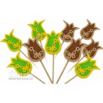 BD-TOVA Tulipán motýlci - zápich 10 ks – Sleviste.cz