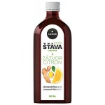 Leros Lisovaná šťáva Zázvor & citron 250 ml – Hledejceny.cz