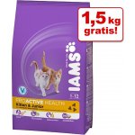 Iams ProActive Health Adult kuře 10 kg – Hledejceny.cz