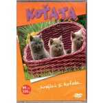 Koťata DVD – Sleviste.cz