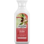 Jason šampon Jojoba 473 ml – Zboží Mobilmania