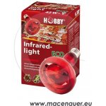 Hobby Infraredlight Eco 70 W – Zboží Mobilmania