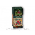 VitaHarmony Acerola 500 mg+Vitamin C 250 mg 90 tablet – Hledejceny.cz