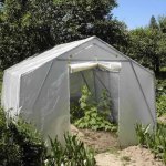 Scobax Growspot Cannabo 3 5,0 x 3,0 m – HobbyKompas.cz
