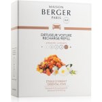 Maison Berger Paris Kouzlo Orientu 2 ks – Hledejceny.cz