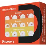 Discovery Fauna 12 Prepared Slides Set – Hledejceny.cz