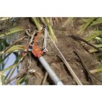 Bahco P34-37 – Zboží Dáma