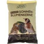 Agros Slunečnice černá 1 kg – Hledejceny.cz