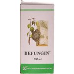 Befungin extrakt z čagy 100 ml – Hledejceny.cz