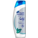 Head & Shoulders 2in1 Instant Relief šampon 400 ml – Hledejceny.cz