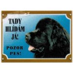 Dafiko Tabulka novofoundlandský pes černý – Hledejceny.cz