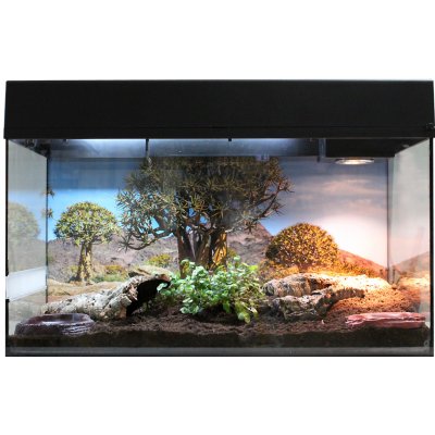 Lucky Reptile Starter Kit Tortoise Gecko 80 x 40 x 52 cm černé