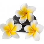 E-shop24 Samolepicí dekorace na kachličky Plumeria 15 x 15 cm – Sleviste.cz