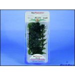 Tetra Green Cabomba 15 cm – Zboží Dáma