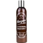 Morgan's Vyživující šampon na vlasy 250 ml – Hledejceny.cz