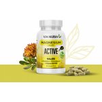 ViaNubia Magnesium AKTIV Malate + Rhodiola + B-Complex 90 kapslí – Hledejceny.cz
