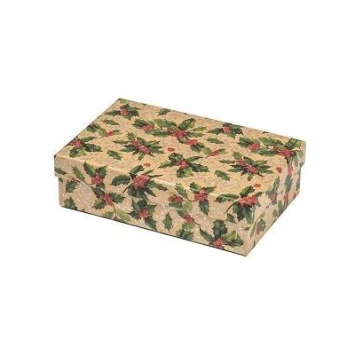 ARGUS Dárková krabice 25350161 – Zboží Živě