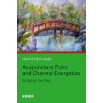 Acupuncture Point and Channel Energetics – Zboží Dáma