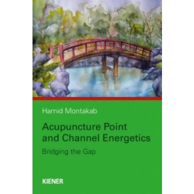 Acupuncture Point and Channel Energetics – Zboží Dáma
