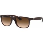 Ray-Ban RB4202 6073 13 – Hledejceny.cz