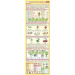 Záložka – Podstatná jména (určujeme) – Zboží Dáma