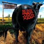 Blink 182 - Dude Ranch -Hq LP – Hledejceny.cz