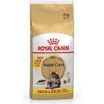 Royal Canin Maine Coon Adult 12 kg – Zboží Mobilmania