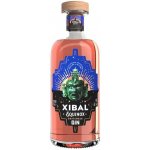 Xibal Equinox 40% 0,7 l (holá láhev) – Sleviste.cz