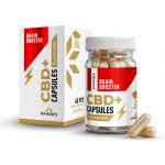 Pamors CBD+ kapsle Brain Booster 60 kapslí – Hledejceny.cz