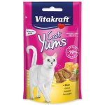 Vitakraft Cat Yums Sýr 40 g – Hledejceny.cz