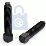 Šroub čtyřhranný upínací s osazeným koncem, DIN 479 -10.9 bez úpravy M8 x 35, balení 1 ks – Sleviste.cz