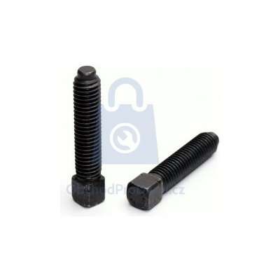 Šroub čtyřhranný upínací s osazeným koncem, DIN 479 -10.9 bez úpravy M8 x 35, balení 1 ks – Sleviste.cz