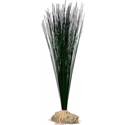 Tetra Hairgrass L 35 cm – Hledejceny.cz