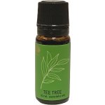 ARÔME Esenciální olej Tee Tree 10 ml – Hledejceny.cz