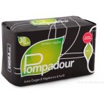 Dedra Pompadour Slip 30 ks – Zboží Dáma