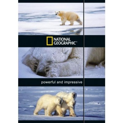 Astra N.Geographic s gumou A4 305250 – Zboží Dáma