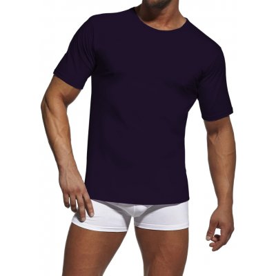 Cornette 202 New Pánské tričko modrá – Zbozi.Blesk.cz