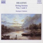 String Sextets - Brahms - Brahms CD – Hledejceny.cz