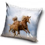 Carbotex koně 40 x 40 cm – Sleviste.cz