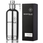 Montale Wild Pears parfémovaná voda unisex 100 ml – Hledejceny.cz