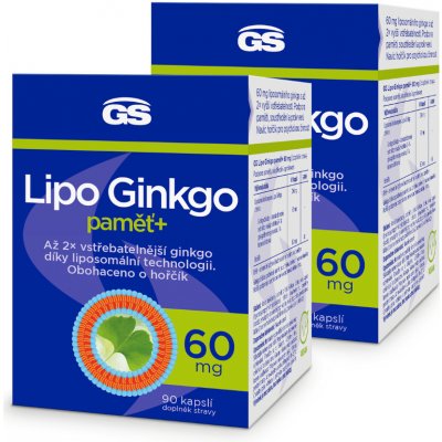 GS Ginkgo 60 mg s hořčíkem 60 tablet – Hledejceny.cz