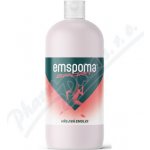 Emspoma Sport hřejivá emulze 1000 ml – Hledejceny.cz