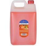 Vione tekuté mýdlo s perletí růžové Broskev 5 l – Zboží Dáma