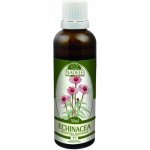 Naděje Echinacea tinktura z byliny 50 ml – Hledejceny.cz