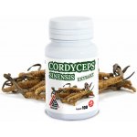 Valknut Cordyceps Sinensis extrakt 120 kapslí – Hledejceny.cz