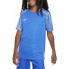 Fotbalový dres Nike DF Academy dres Jersey SS dh8369 463