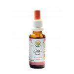 Salvia Paradise Štětka lesní AF tinktura 30 ml – Hledejceny.cz