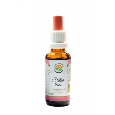 Salvia Paradise Štětka lesní AF tinktura 30 ml – Hledejceny.cz