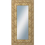DANTIK KŘÍDLO 50 x 100 cm zlaté 2890 – Hledejceny.cz